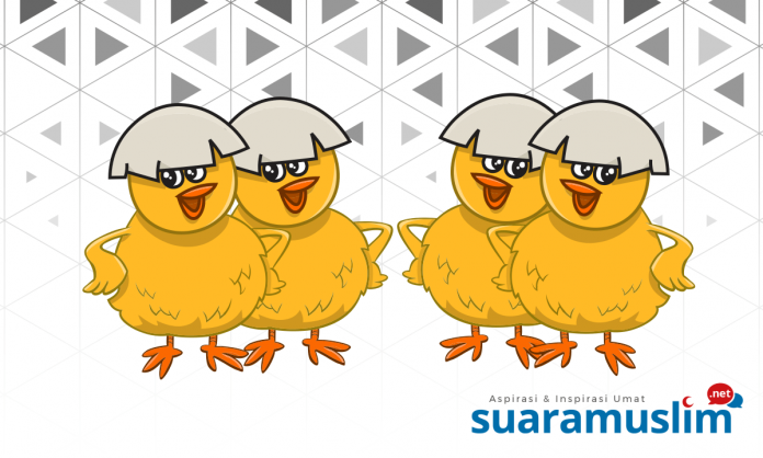 66 Gambar Hewan Zakat Gratis Terbaru