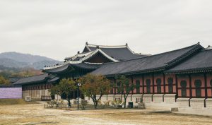 Geliat Islam di Negeri Ginseng jeju korea