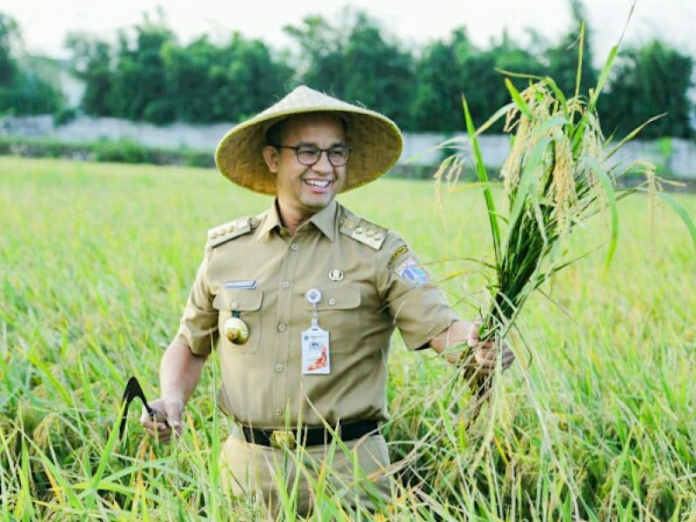 Anies Baswedan Panen Padi Di Cakung Jakarta Prioritaskan Pasokan Beras Lokal Anies Baswedan Panen Padi Di Cakung Jakarta Prioritaskan Pasokan Beras Lokal