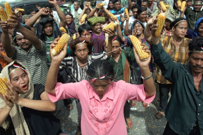 demo-petani-jagung-lzozno-prv