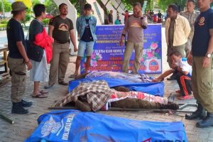 BNPB: Korban Gempa di Palu tambah jadi 384 orang