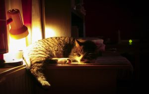Doa Menjelang Tidur