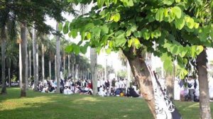 Catatan Reuni 212: Rumput dan Sampah pun Dijaga, Apalagi NKRI