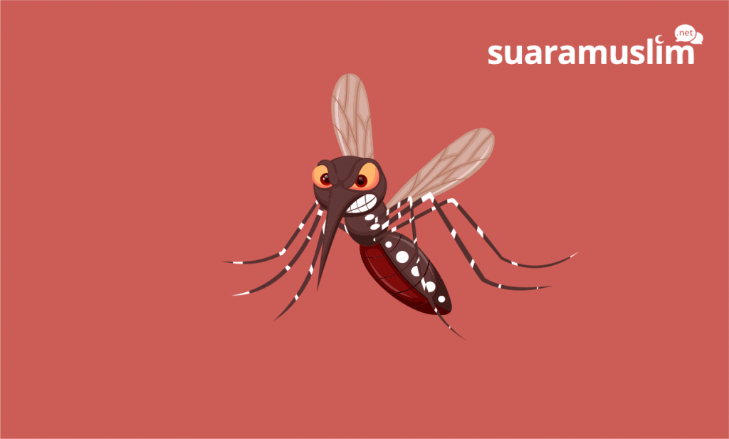 Kenali Gejala dan Pencegahan Demam Berdarah Dengue