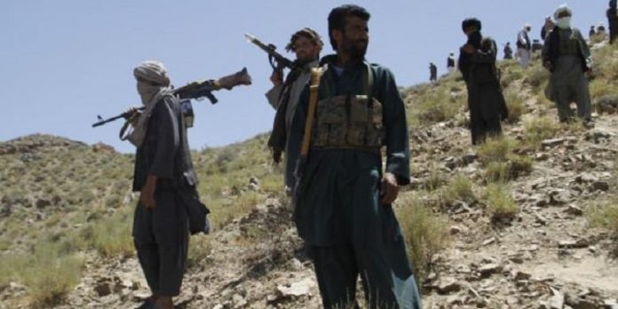 taliban
