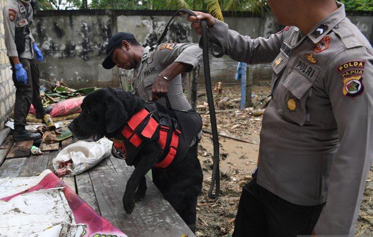 Polisi menggunakan anjing untuk mencari korban banjir bandang di reruntuhan bangunan di Kali Pos Tujuh, Sentani, Jaya Pura, Papua, Senin (18/3/2019). (ANTARA FOTO)