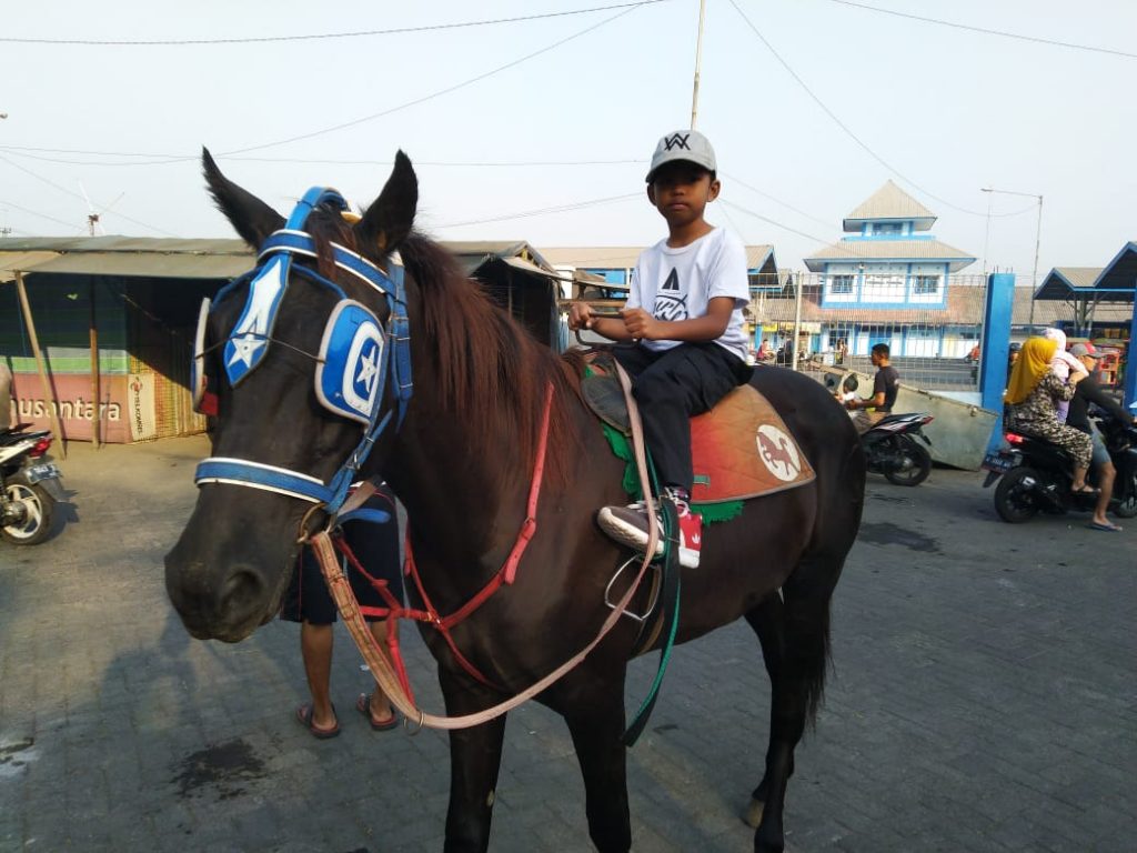 Nunggang Kuda Keliling Area Pasar Porong Sambil Cari Barang Bekas