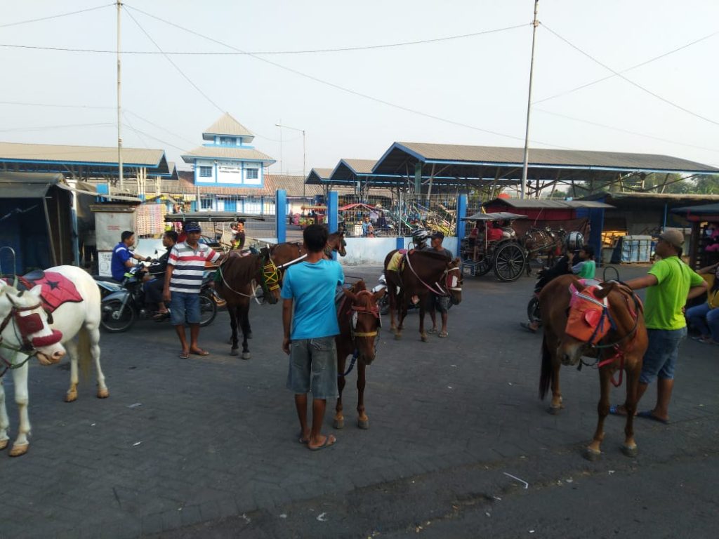 Pemandu kuda di Pasar Loak Porong. (Dok. Pribadi Choirul Hisyam) 
