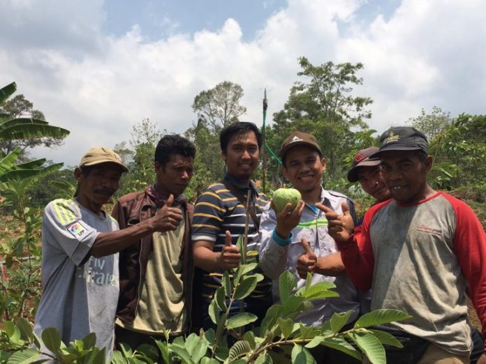 Miracle Park Pasuruan Wisata Kebun Zaitun Terinspirasi dari Al-Qur’an Miracle Park Pasuruan: Wisata Kebun Zaitun Terinspirasi dari Al-Qur’an