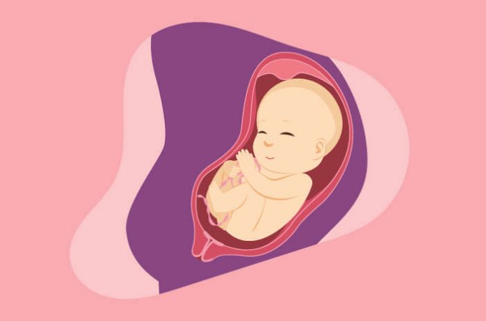 Beda Cairan Ketuban Dan Keputihan Pada Ibu Hamil Bidanshop